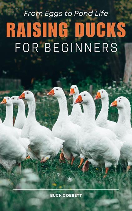 Raising Ducks for Beginners: From Eggs to Pond Life