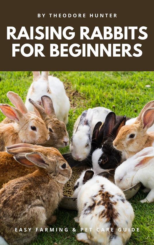 Raising Rabbits for Beginners: Easy Farming & Pet Care Guide