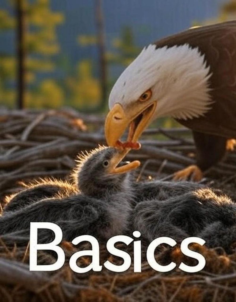 ibs