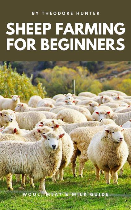 Sheep Farming for Beginners: Wool, Meat & Milk Guide