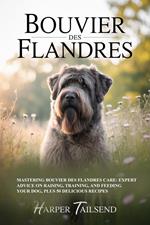 Bouvier des Flandres