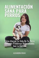 Alimentación Sana Para Perros Cómo Alargar La Vida De Tu Perro Evitando Problemas Relacionados Con La Comida