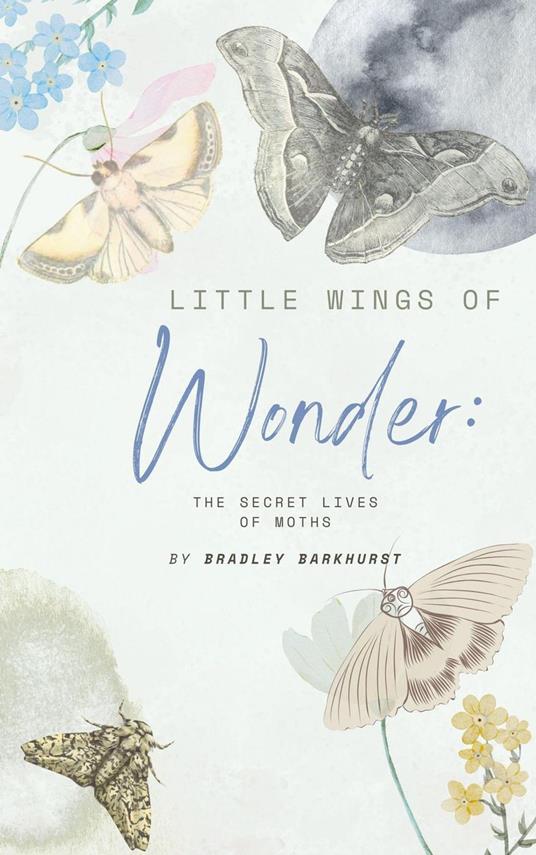 Little Wings of Wonder: The Secret Lives of Moths