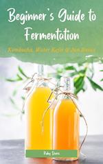 Beginner’s Guide to Fermentation: Kombucha, Water Kefir & Jun Basics