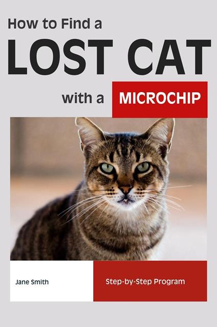 How to Find a Lost Cat with a Microchip: Step-by-Step Program