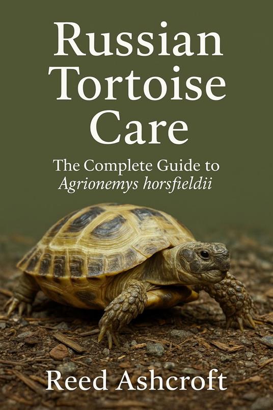 Russian Tortoise Care The Complete Guide to Agrionemys horsfieldii
