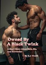 Owned By A Black Twink