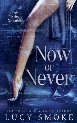 Now or Never - Lucy Smoke - cover