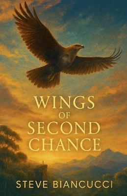 Wings of Second Chance - Steve Biancucci - cover