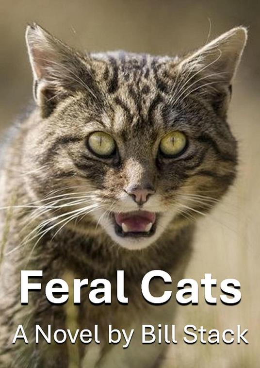 Feral Cats