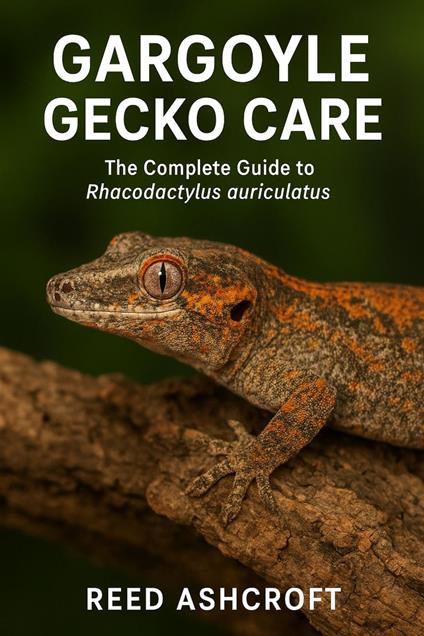 Gargoyle Gecko Care The Complete Guide to Rhacodactylus auriculatus