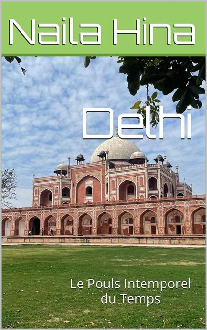 Delhi: Le Pouls Intemporel du Temps
