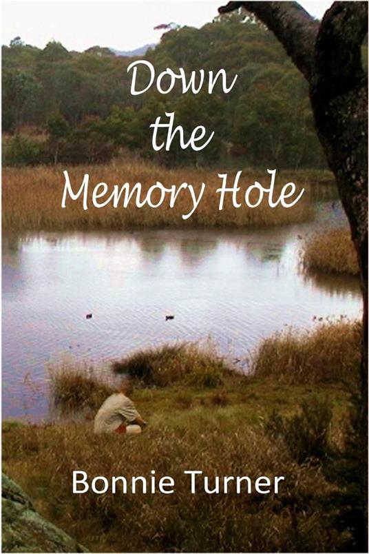 Down the Memory Hole - Bonnie Turner - ebook
