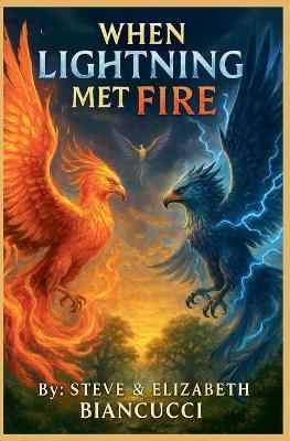 When Lightning Met Fire - Steve Biancucci,Elizabeth Biancucci - cover