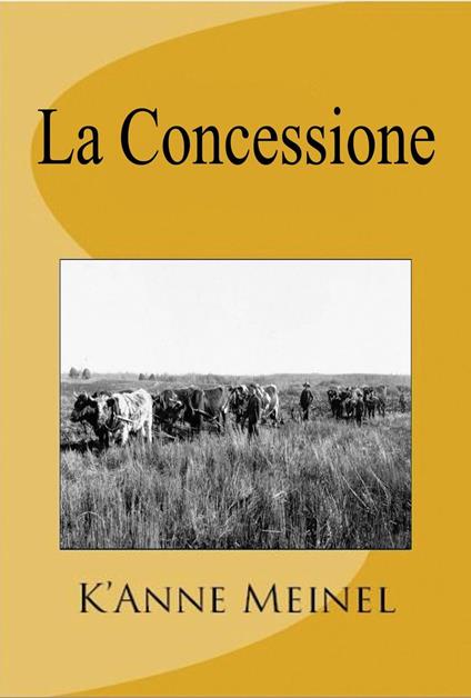 La Concessione - K'Anne Meinel - ebook