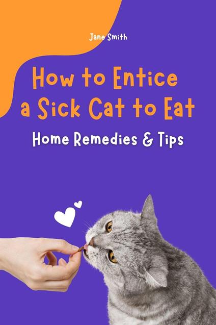 How to Entice a Sick Cat to Eat – Home Remedies & Tips