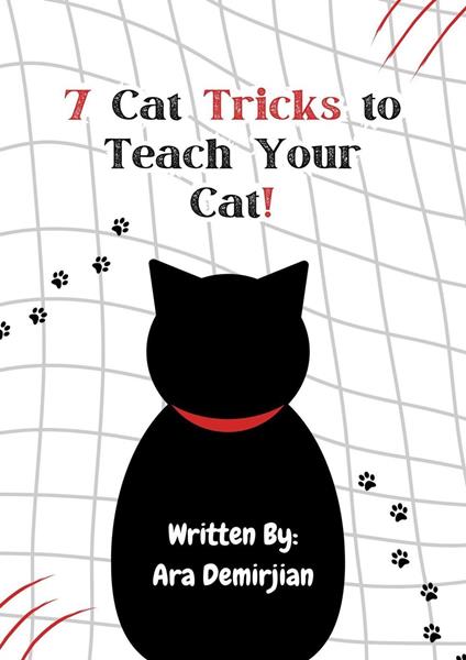 7 Cat Tricks to Teach Your Cat!