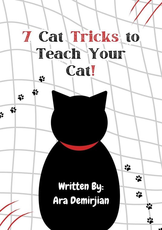 7 Cat Tricks to Teach Your Cat!