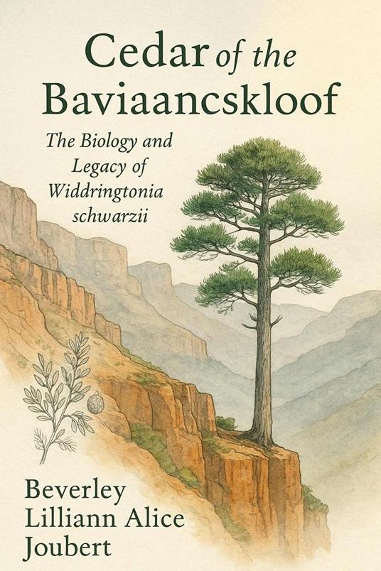 Cedar of the Baviaanskloof