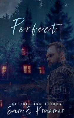 Perfect - Sam E Kraemer - cover