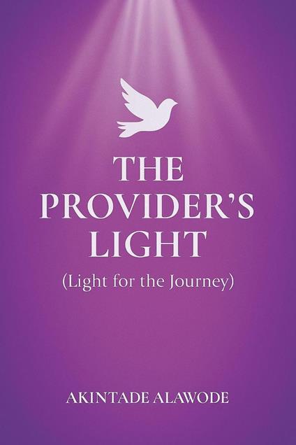 The Provider's Light - Akintade Alawode - ebook