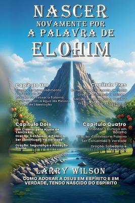Nascer Novamente Por a Palavra de Elohim - Larry Wilson - cover