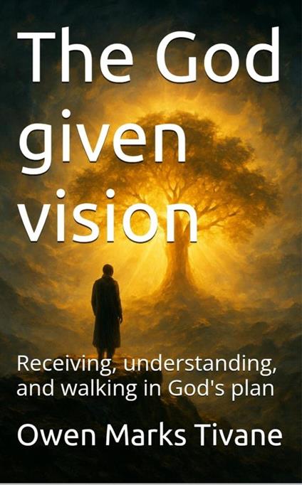 The God given vision: Receiving, understanding, and walking in God's plan.