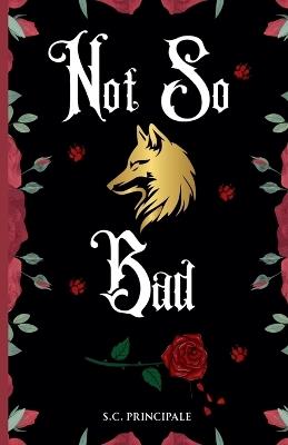 Not So Bad - S C Principale - cover