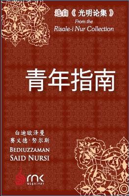 青年指南 - 白迪欧泽曼-赛义德-努尔斯 - cover