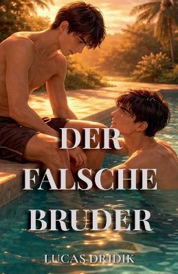 Der falsche Bruder - Lucas Dridik - cover