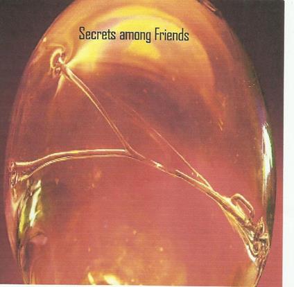 Secrets Among Friends