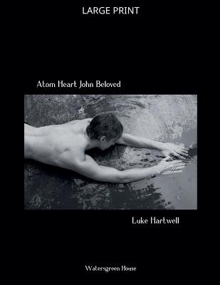Atom Heart John Beloved - Luke Hartwell - cover