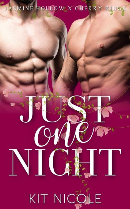 Just One Night