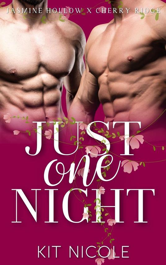 Just One Night