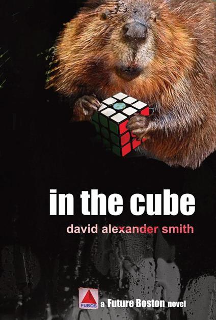In the Cube