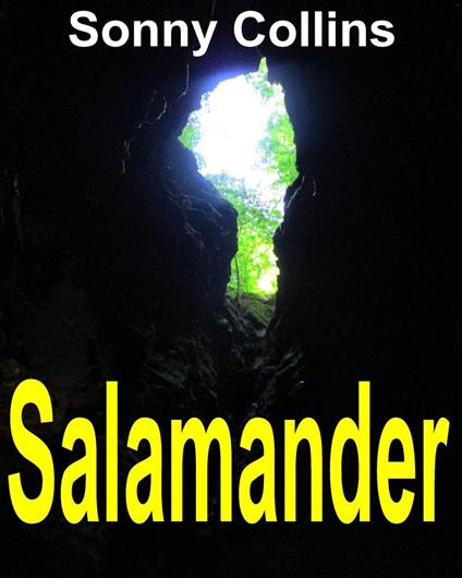 Salamander