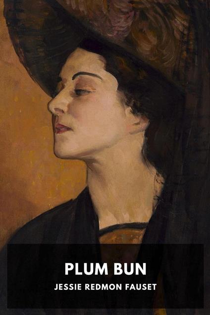 Plum Bun - Jessie Redmon Fauset - ebook