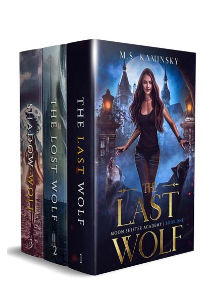 Moonshifter Academy Boxset: A Wolf Shifter Academy Romance (Moon Shifter Academy) - M.S. Kaminsky - ebook