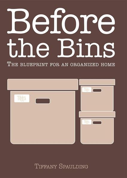 Before the Bins