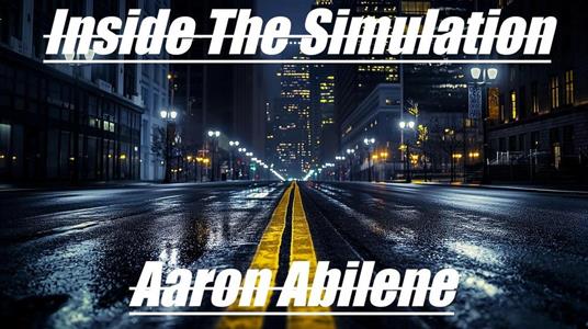 Inside The Simulation