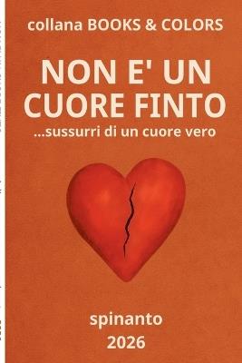 NON E' UN CUORE FINTO ...sussurri di un cuore vero - Spinanto - cover