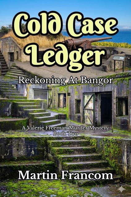 Cold Case Ledger (Book 2)