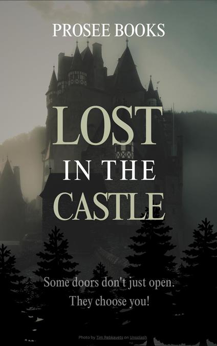 Lost in the Castle - Prosee Books - ebook