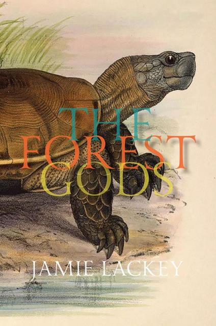 The Forest Gods
