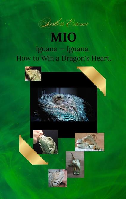 MIO: Iguana. How to Win a Dragon's Heart.
