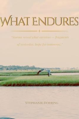 What Endures - Stephanie Doering - cover