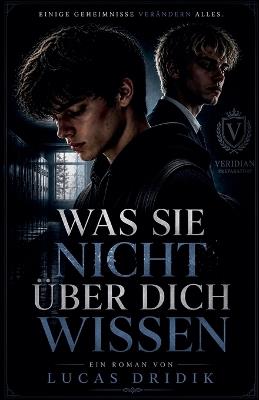 Was sie nicht über dich wissen - Lucas Dridik - cover