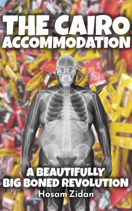 The Cairo Accommodation