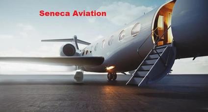 Seneca Aviation - Lyndon B. Medlin - ebook