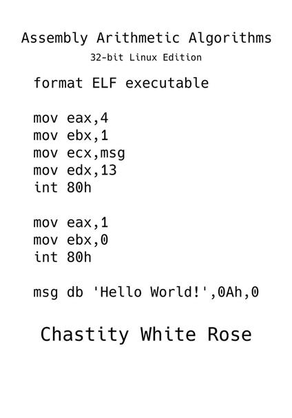 Assembly Arithmetic Algorithms 32-bit Linux Edition